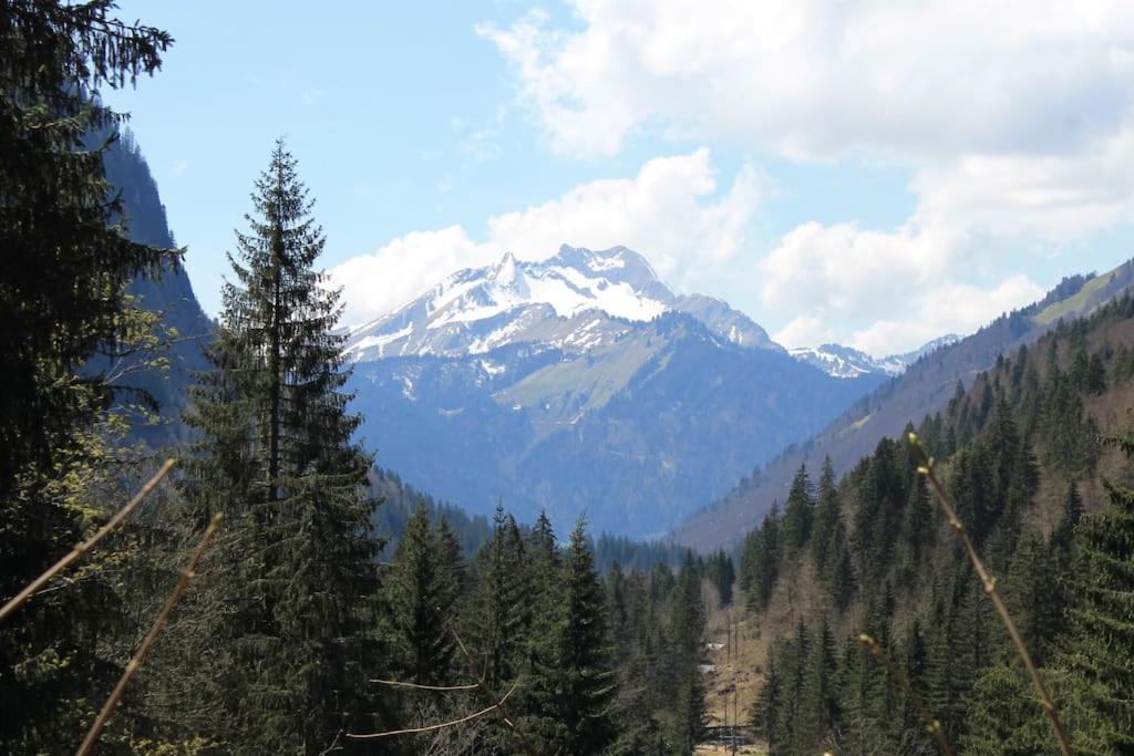 Chalet Avenir Saint-Jean-dʼAulps Екстериор снимка