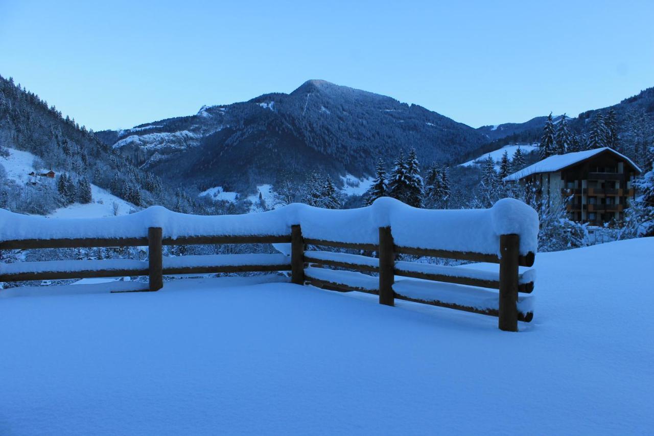 Chalet Avenir Saint-Jean-dʼAulps Екстериор снимка